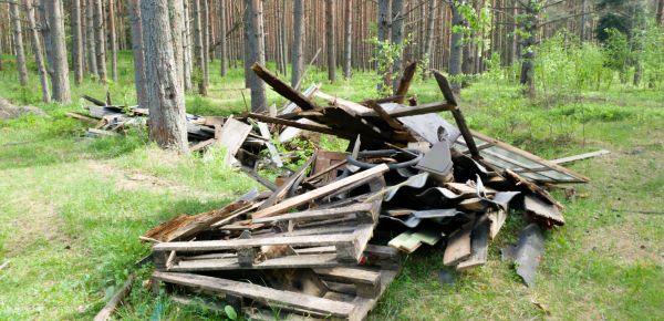 Debris Removal Service in Jeffersonville